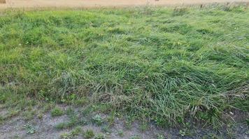 prachtige landelijke landschap van engeland uk foto