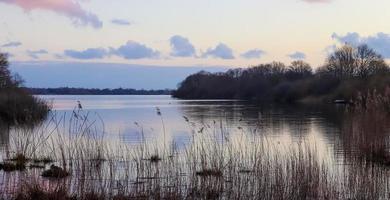 prachtig landschap aan de kust van een meer met een reflecterend wateroppervlak en wat riet en gras foto