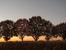 zonsondergang in het duitse münsterland foto