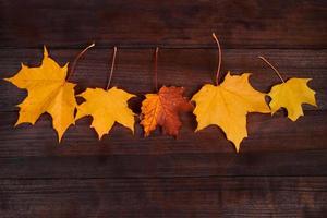 gele herfst esdoorn bladeren op een bruine houten achtergrond. gevallen blad. achtergrond voor ontwerp. foto