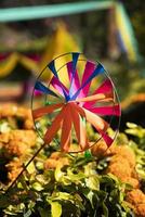 kleurrijke papieren pinwheel. papieren windmolen spinner geplaatst op groene struiken met bloemen. bruiloft decoratie scènes foto