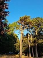 prachtig uitzicht op stockwood park a luton, het gratis toegankelijke openbare park en de golfspeeltuin in zuid luton, dicht bij de afslag van de snelwegen van 10 m1. foto