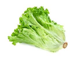 Sla blad geïsoleerd op een witte achtergrond, groene bladeren patroon, salade ingrediënt foto