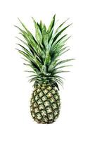 groene ananas geïsoleerd op witte achtergrond foto