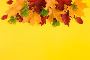 frame van gevallen herfst esdoorn bladeren op een felgele achtergrond. kleurrijke herfstbladeren. achtergrond voor ontwerp. foto
