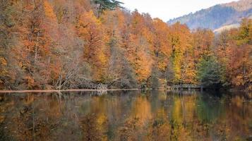 buyuk-meer in yedigoller nationaal park, turkije foto