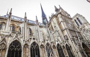 Notre Dame in Parijs foto