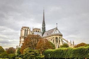 Notre Dame in Parijs foto