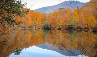 buyuk-meer in yedigoller nationaal park, turkije foto