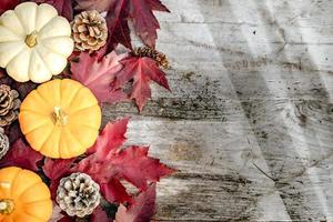 pompoenen, gedroogde bladeren en dennen met herfstsamenstelling op houtachtergrond. herfst, herfst, halloween concept. plat leggen, bovenaanzicht, ruimte kopiëren foto