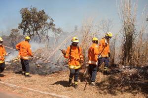 brasilia, brazilië, 26 juli 2022 brandweerlieden bezig met het blussen van een brand nabij het karriri-xoco en tuxa indianenreservaat in het noordwesten van brasilia foto