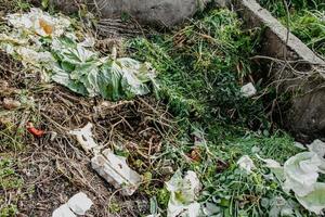 compostbak voor voedselafval. concept van organische meststoffen voor de tuin. foto