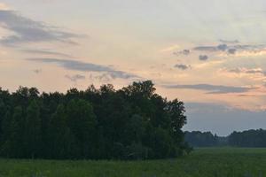 avondlandschap van groen bos en veelkleurige wolken. prachtige zonsondergang met blauw-roze wolken. foto