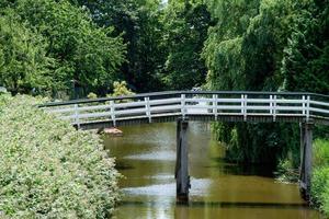 ditzum aan de rivier de ems foto