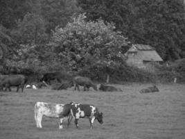 maasholm aan de Oostzee in Duitsland foto