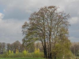 eibergen in nederland foto