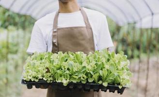 vrouwelijke boer die vroeg op de boerderij werkt met een houten mand met verse groenten en tablet foto