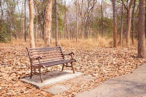 vintage bankje in het herfstpark in niemandsdag foto