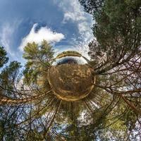 kleine planeet transformatie van bolvormig panorama 360 graden. sferische abstracte luchtfoto in dennenbos met onhandige takken. kromming van de ruimte. foto