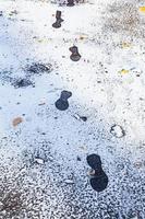 bevroren voetafdrukken op natte weg bedekt met sneeuw foto