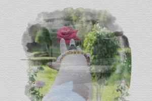 hand van vrouw die een rode bloem aanraakt foto