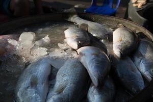 verse zeevruchten op de markt in Thailand foto