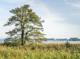 groene bomen in paleispark herrenchiemsee foto