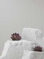 abstracte minimale achtergrond voor productpresentatie met witte rots en paarse suculenta plant. 3D render. foto