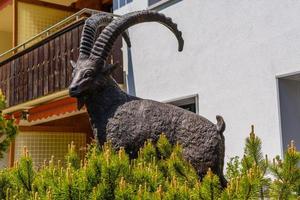 geitenmonument in davos in graubuenden, zwitserland foto