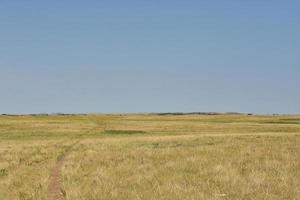 game trail op de vlaktes in Zuid-Dakota foto