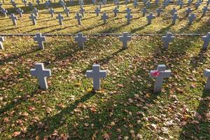 veel identieke grijze kruisen op de Poolse militaire begraafplaats. herfst en zonsondergang van het leven. strijd voor congregatie en onafhankelijkheid van het moederland foto