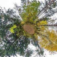 kleine planeet transformatie van bolvormig panorama 360 graden. sferische abstracte luchtfoto in herfst bos. kromming van de ruimte. foto