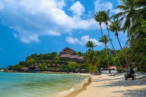 kokospalmen en bungalows, haad yao strand, koh phangan eiland, foto