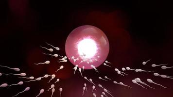 sperma en eierstok voor sci-inhoud 3D-rendering. foto
