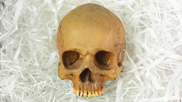 menselijke schedel op dempingspapier voor sci-inhoud. foto