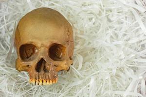 menselijke schedel op dempingspapier voor sci-inhoud. foto