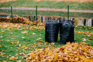 foto van zwarte vuilniszakken staan in het park, gevuld met herfstbladeren tegen de achtergrond van het hek. het schoonmaken van straten en afvalconcept