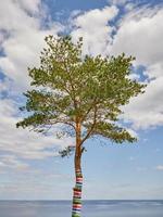 alleen dennenboom versierd met een veelkleurig gestreept tapijt groeit op de hoge oever van het meer tegen de hemel. foto