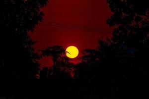 prachtige zonsondergang op het veld foto