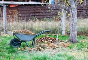 een tuinkruiwagen is gevuld met gevallen bladeren en droog gras in een herfsttuin. foto