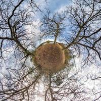 kleine planeet transformatie van bolvormig panorama 360 graden. bolvormige abstracte luchtfoto in eikenbos met onhandige takken. kromming van de ruimte. foto