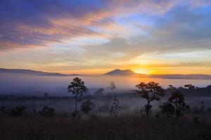 mistige ochtendzonsopgang bij thung salang luang nationaal park phetchabun, tung slang luang is grasland savanne in thailand. foto