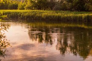 delta rivier roemenië natuur groen zonsondergang zonneschijn gouden uur foto