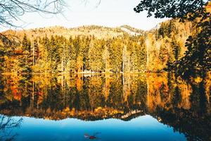 herfst bos reflecties in blauw meer. bosspar reflecties op meer in warme zonnige dag foto