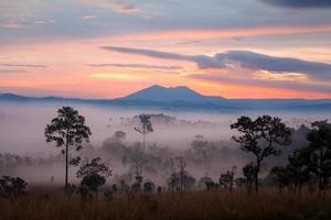 mistige ochtendzonsopgang bij thung salang luang nationaal park phetchabun, tung slang luang is grasland savanne in thailand. foto