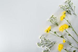 chrysant en snijbloemensamenstelling. patroon en frame gemaakt van verschillende gele of oranje bloemen en groene bladeren op een witte achtergrond. plat lag, bovenaanzicht, kopieer ruimte, lente, zomer concept. foto