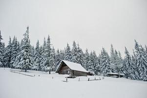 houten huis bij pijnbomen bedekt met sneeuw op de berg chomiak. prachtige winterlandschappen van de karpaten, oekraïne. vorst natuur. foto