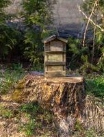 vogelhuisje op een boomstam foto