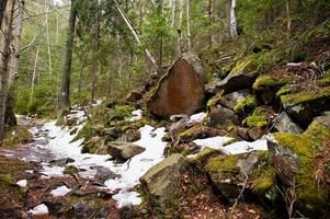 dovbush-rotsen in groen bos bij Karpaten. foto