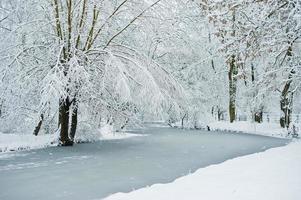 winters landschap. bomen bedekt met een enorme laag sneeuw. foto